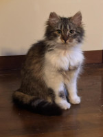 /album/75/b816cd87-ac35-4c50-8a75-ad267317dcf6-jpeg/