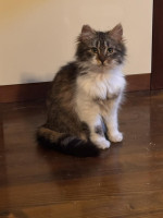 /album/75/f3bf4596-aec0-4fff-8790-1d497c16f21a-jpeg/