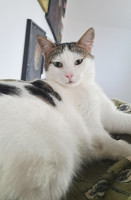 /album/26-03-2026/8f68e3d1-47a9-4add-b0fc-3d8e684a0613-jpeg/