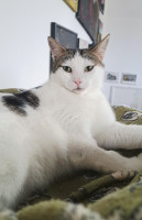 /album/26-03-2026/eb892242-47ce-44ed-84d0-ad7346fe6603-jpeg/