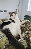 /album/26-03-2026/3cc5cbf0-5e4a-4344-91c2-f71f1a0ca45b-jpeg/