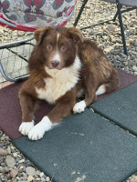 /album/19/54026f6f-5853-4e1c-8e14-7d1baa9f3d9f-jpeg/