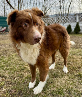 /album/19/53de1b78-fa0c-4606-91ef-dcc1e561a12e-jpeg/