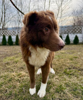 /album/19/5ab7d629-fd2c-4f05-8a08-09c62b9923d3-jpeg/