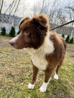 /album/19/8fc9cfb0-3f74-4a1b-ad65-7db9cbee61c9-jpeg/