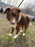 /album/19/c7373328-9de6-48e0-8986-5bab8dafdeea-jpeg/