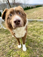 /album/19/1e9a37f9-942c-4fd8-9486-b26bb0a069aa-jpeg/