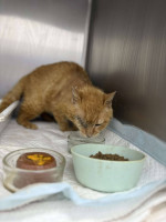 /album/80/649167859-27226278233638765-1408469600049193535-n-jpg/