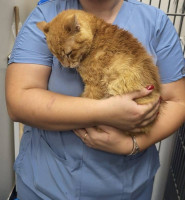 /album/80/649265349-27226277236972198-1179763974707946077-n-jpg/