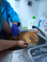 /album/80/649155042-27226276903638898-6132885845381566926-n-jpg/