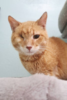 /album/80/648776380-27226275756972346-6861276665250664139-n-jpg/