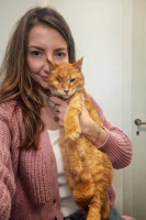 /album/80/649283170-27226274830305772-5891517798779400319-n-jpg/