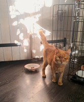 /album/80/649335218-27226274513639137-2652719929819026429-n-jpg/