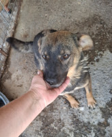 /album/september-20254/558296571-1167205928840805-2334703061940309741-n-jpg/