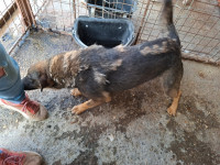 /album/september-20254/558981568-1167205968840801-4922105038127495935-n-jpg/