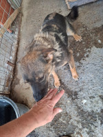 /album/september-20254/562070737-1167205962174135-5819291160145491063-n-jpg/