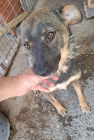 /album/september-20254/558452421-1167206062174125-3219004901927645580-n-jpg/