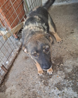 /album/september-20254/559002050-1167205978840800-2893049440861491304-n-jpg/