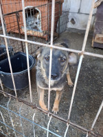 /album/september-20254/558101510-1167206118840786-726852753691839455-n-jpg/