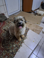 /album/81/648673960-2682818902104281-2634619807130115394-n-jpg/