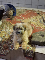 /album/81/648649450-2682818648770973-8048110634918151448-n-jpg/