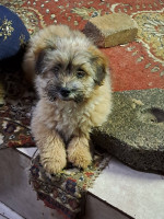 /album/81/650198721-2682818382104333-8486569397309746939-n-jpg/