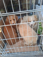 /album/126/649104749-2682819042104267-7540979822760315364-n-jpg1/