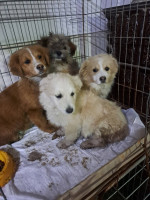 /album/126/648765268-2682818972104274-8996945874022456328-n-jpg1/