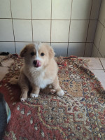 /album/126/650218870-2682818338771004-5842196722469101769-n-jpg/