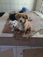 /album/126/647221913-2682817992104372-316852043904635117-n-jpg1/