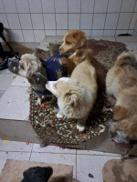 /album/242/648739916-2682818832104288-820928077283680183-n-jpg2/