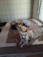 /album/242/650035567-2682818082104363-2582483336675087890-n-jpg1/