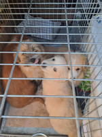 /album/254/650250827-2682819108770927-623175737693783534-n-jpg3/