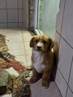 /album/254/648730732-2682818758770962-8587046814009376620-n-jpg/