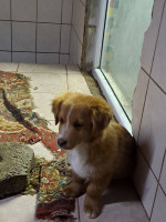 /album/254/649312131-2682818545437650-2422681177655567861-n-jpg/