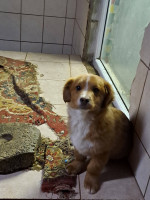 /album/254/650279997-2682818488770989-3279322897400065288-n-jpg/