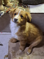 /album/254/649650318-2682818442104327-5692412117527697319-n-jpg/