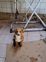 /album/254/649208806-2682818225437682-4109144952971857640-n-jpg/