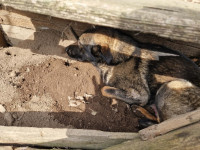 /album/255/63ccc544-be17-48c2-9b07-5eef4aaa4ed2-jpeg/