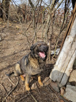 /album/255/06080bb9-575b-4fb2-be95-2aa6e6b6ef54-jpeg/