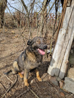 /album/255/082624bf-c25b-472c-a42c-f459ee344091-jpeg/