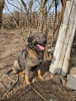 /album/255/e46743b4-e0b3-4109-9559-34006bcf2176-jpeg/