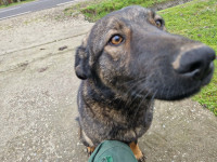 /album/255/f706f059-661e-44f3-bb00-665486ce862c-jpeg/