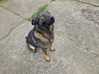 /album/255/82f65caa-da60-4255-8b83-6d3e479e3821-jpeg/