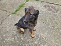 /album/255/73006798-63bd-44b8-98c9-83d36fe21a88-jpeg/