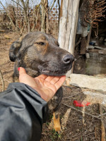 /album/255/dda4a2be-4e66-4aaf-ade7-a2f3932aff9f-jpeg/