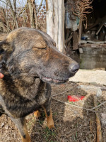 /album/255/b457ab75-e61b-435f-9823-dfde64a567da-jpeg/