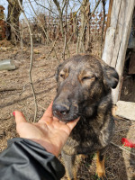 /album/255/7d6c97c2-c145-4c1e-b3e9-89ed62fdb083-jpeg/