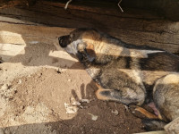 /album/255/ae3a41a1-5404-411d-bd9a-50f58ccc88a9-jpeg/