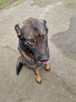 /album/255/12fb047c-a987-4f4d-81ed-6e89e282086c-jpeg/